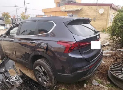 2021 Hyundai Santa FE KMHS281HGMU326998 VIN:KMHS281HGMU326998
