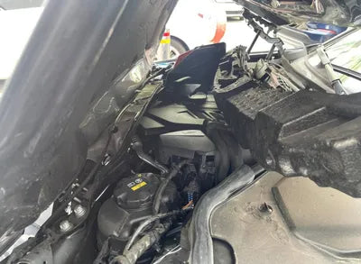 2021 BMW 320 WBA6L5106MFK42613 VIN:WBA6L5106MFK42613