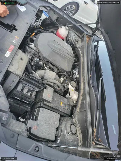 2020 Kia Sorento KNARH81BGMA055454 VIN:KNARH81BGMA055454