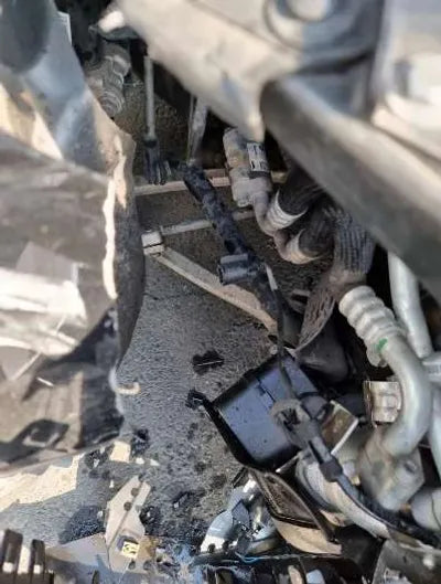 2019 BMW 120 WBY8P2103K7D97272 VIN:WBY8P2103K7D97272