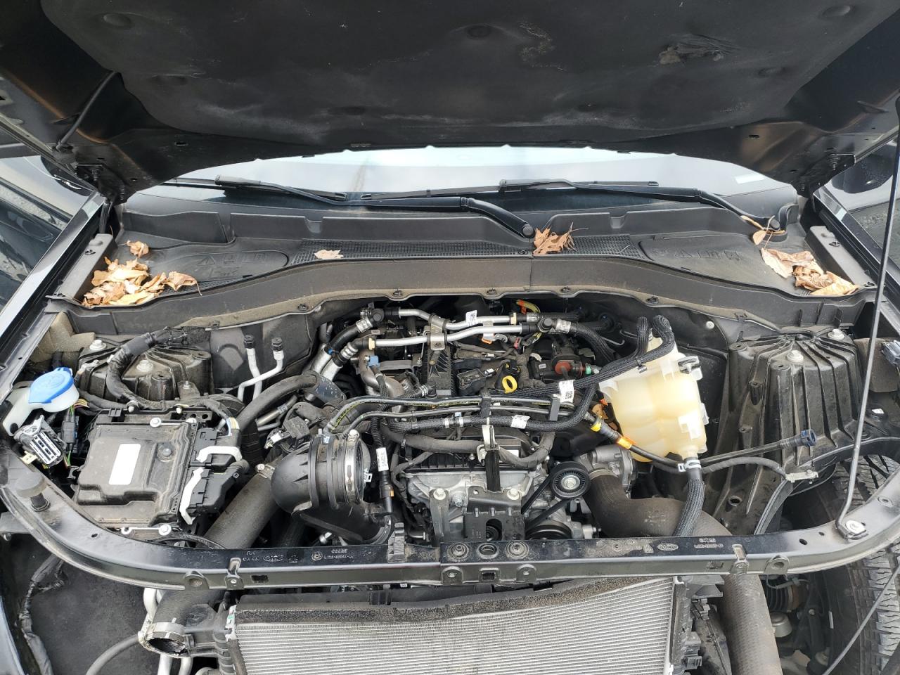 2022 FORD EXPLORER TIMBERLINE VIN:1FMSK8JHXNGB45305