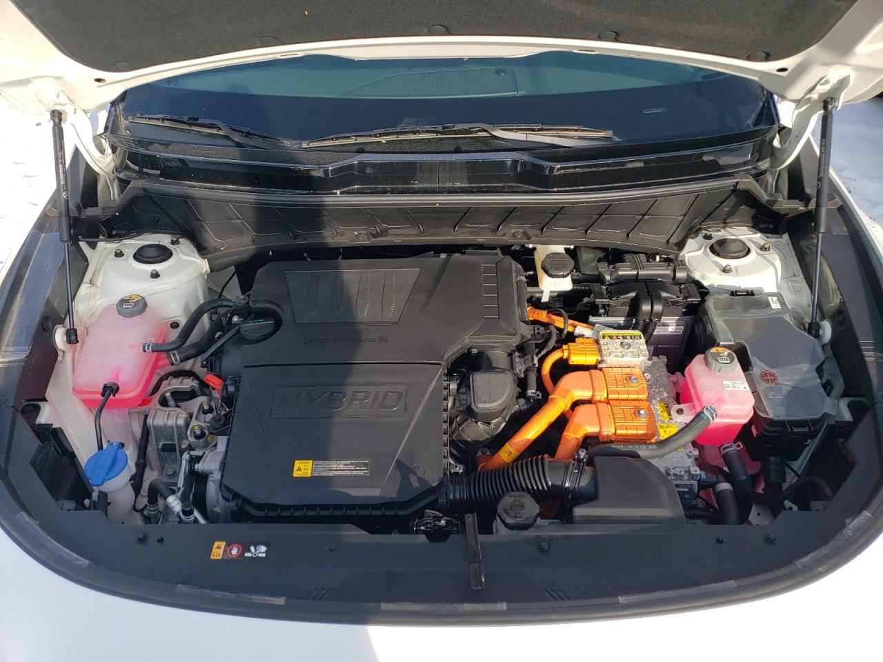 2024 KIA NIRO EX VIN:KNDCR3LE8R5161059
