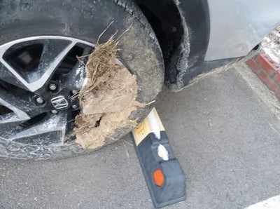 2016 Honda CR-V VIN: