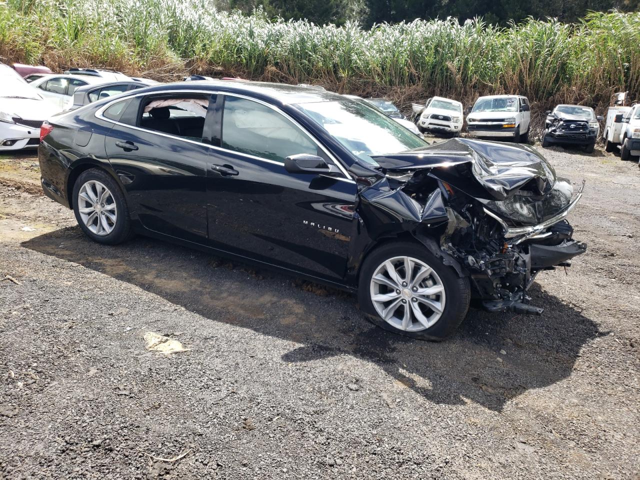 2024 CHEVROLET MALIBU LT VIN:1G1ZD5ST4RF207588