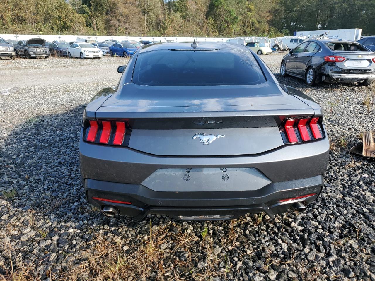 2024 FORD MUSTANG  VIN:1FA6P8TH7R5121622