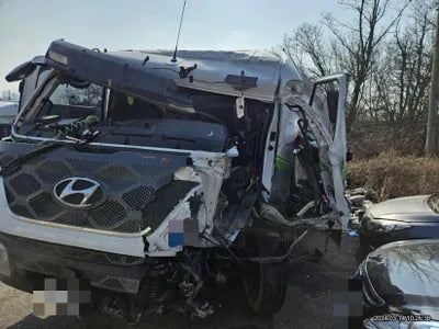 2023 15.5 tons of fabis (compressed pear) VIN: