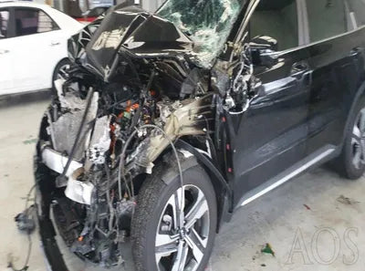 2021 Kia Sorento KNARH81GBMA026218 VIN:KNARH81GBMA026218