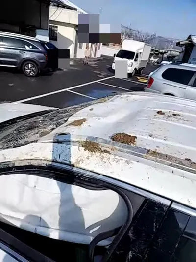 2021 Kia Sorento VIN: