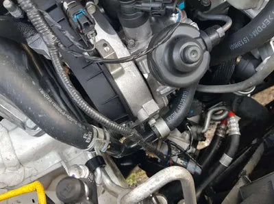 2021 Kia Sorento KNARK81BHNA133310 VIN:KNARK81BHNA133310