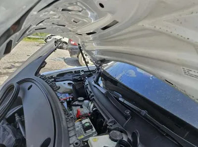 2022 Tesla Model 3 VIN: