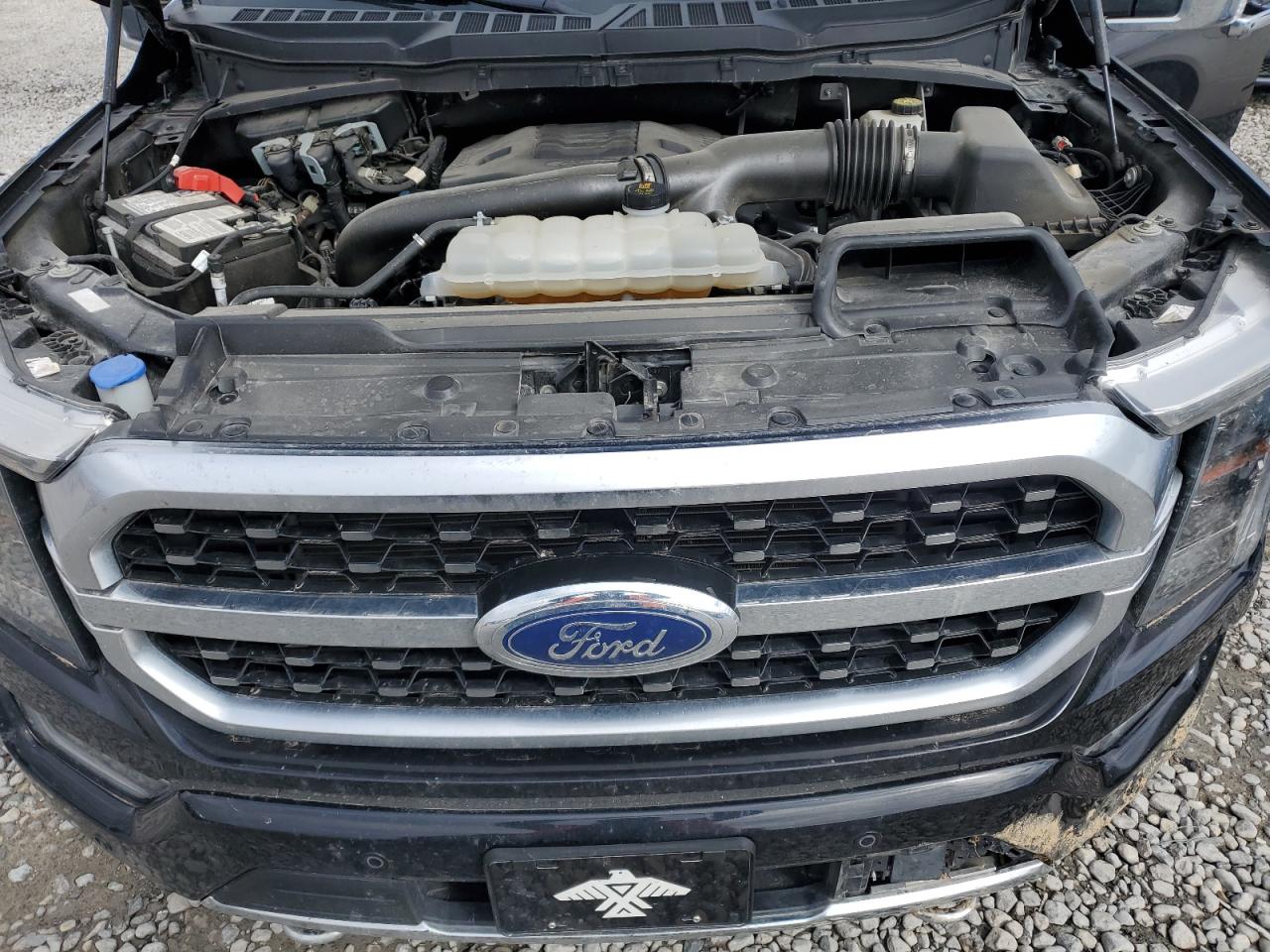 2023 FORD F150 SUPERCREW VIN:1FTFW1E88PFB70174