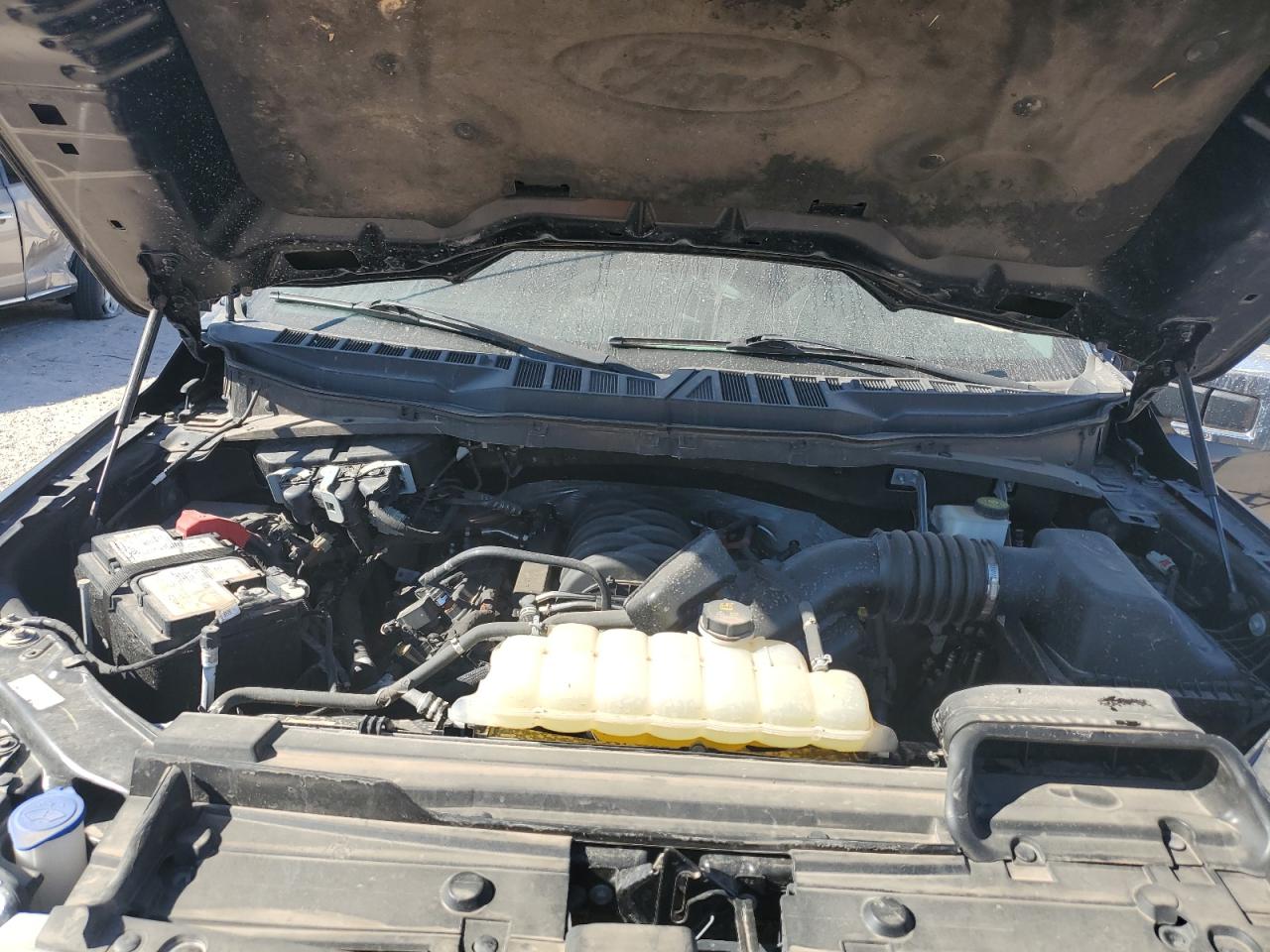 2023 FORD F150 SUPERCREW VIN:1FTFW1E56PFB13218