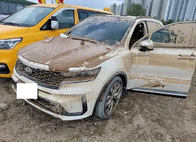 2021 Kia Sorento KNARK81BGMA026012 VIN:KNARK81BGMA026012