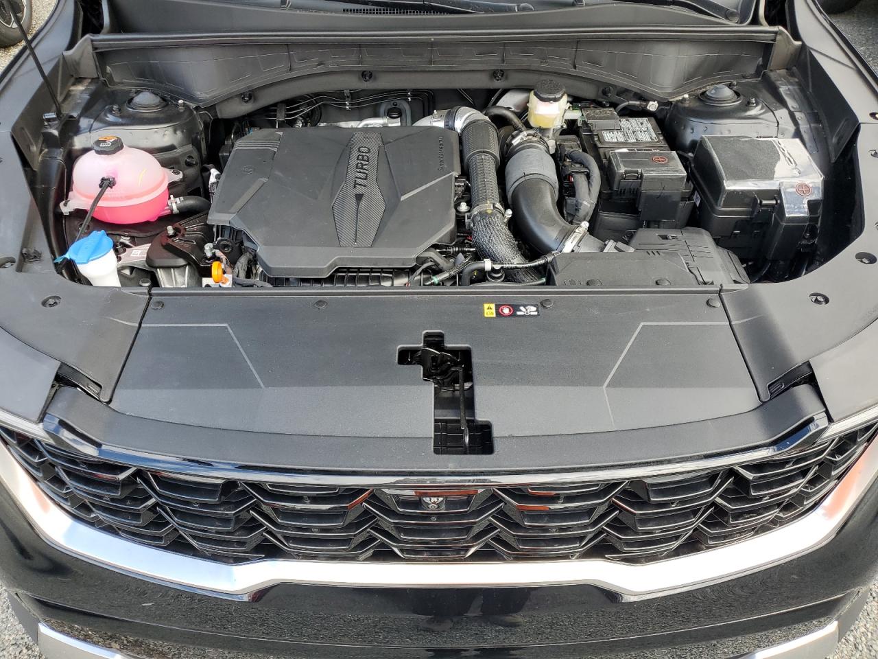 2024 KIA SORENTO SX VIN:5XYRK4JFXRG299225