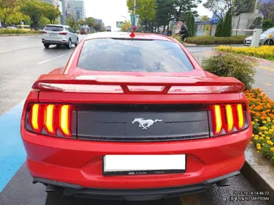 2020 Ford Mustang 600KM1FA6P8THXL51 VIN:600KM1FA6P8THXL51