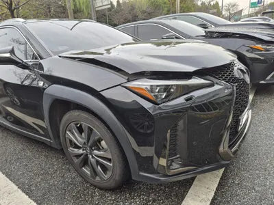 2021 Lexus UX 250 JTHR6JBHXM2091138 VIN:JTHR6JBHXM2091138