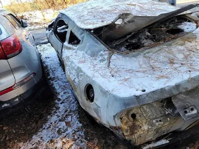 2019 Ford Mustang VIN:
