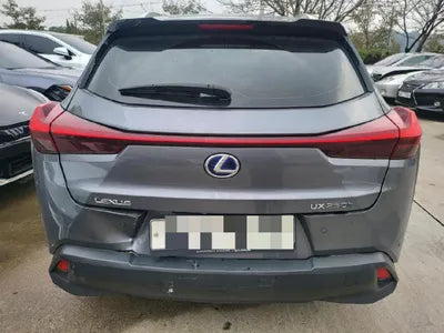 2019 Lexus UX 250 JTHY6JBH1K2001609 VIN:JTHY6JBH1K2001609