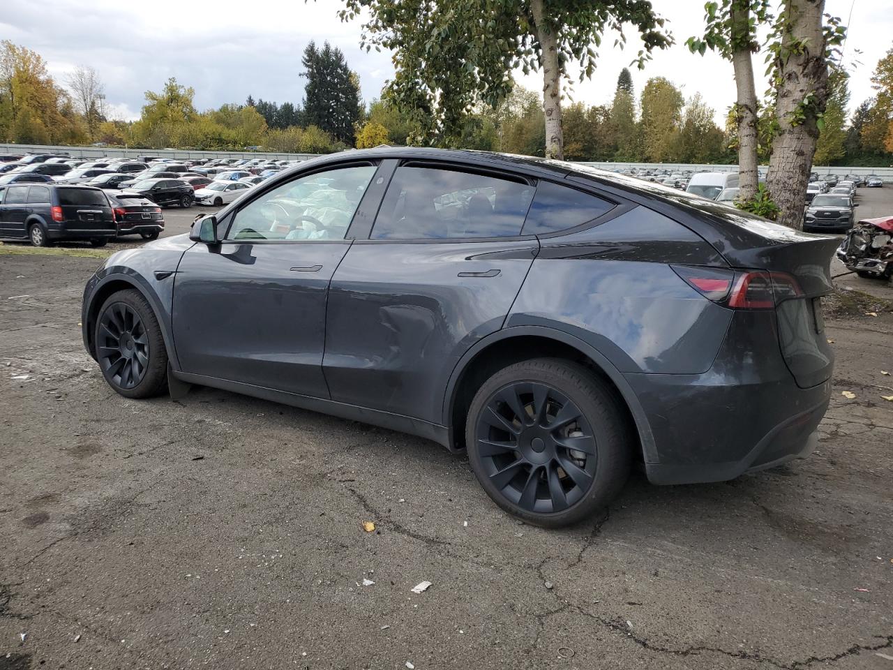2024 TESLA MODEL Y  VIN:7SAYGAEE8RF004842