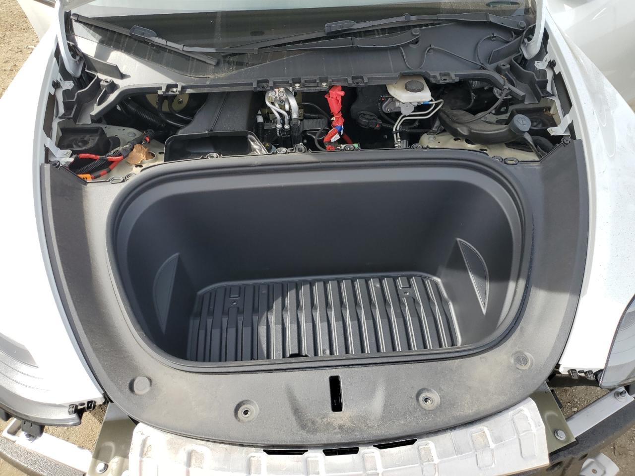 2023 TESLA MODEL Y  VIN:7SAYGDEE5PF746369
