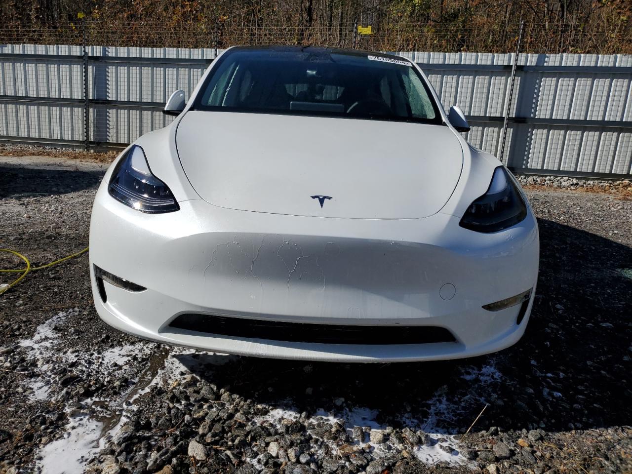 2024 TESLA MODEL Y  VIN:7SAYGAEE7RF091388