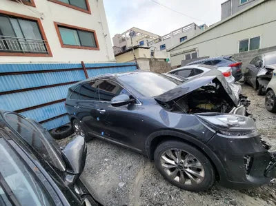 2019 Kia Sorento KNAPH81BBKA543943 VIN:KNAPH81BBKA543943