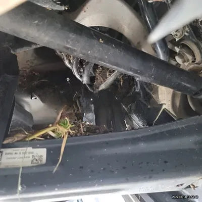 2021 BMW X4 M NONE VIN: