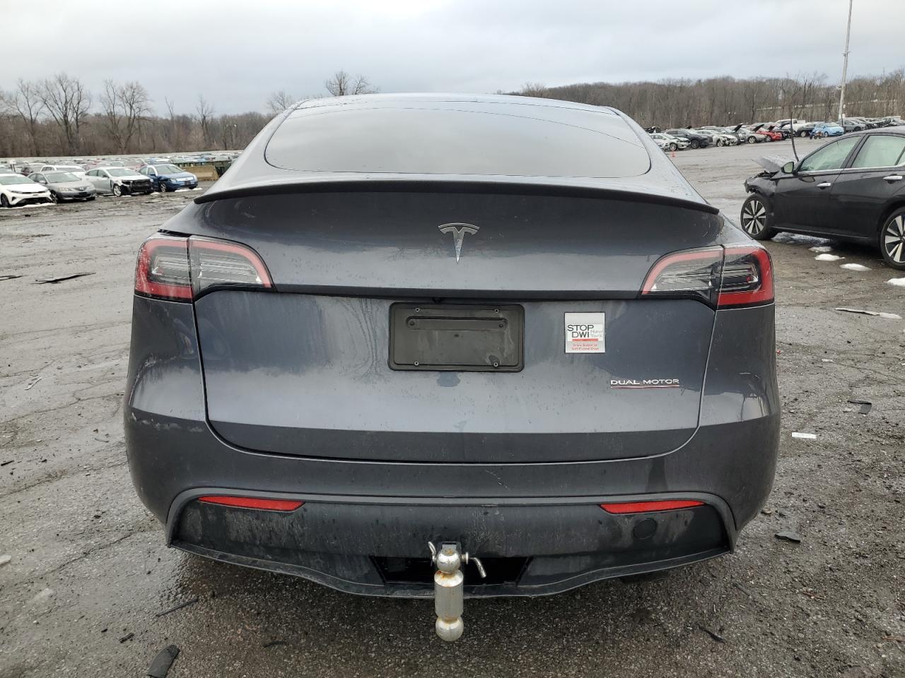 2023 TESLA MODEL Y  VIN:7SAYGDEFXPF698487