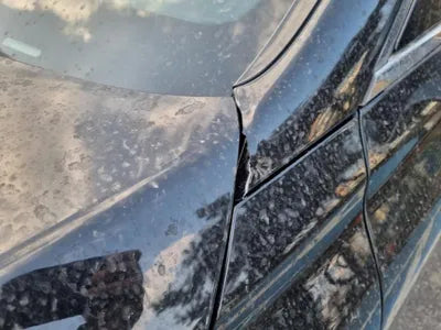 2019 Genesis G90 VIN: