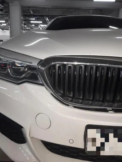 2019 BMW 520 WBAJF5101LCD42963 VIN:WBAJF5101LCD42963