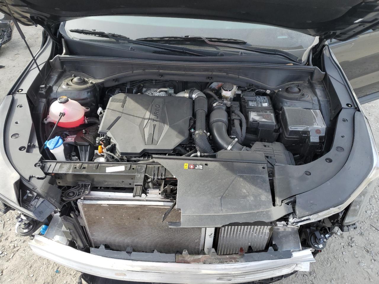 2024 KIA SORENTO SX VIN:5XYRKDJF0RG298133