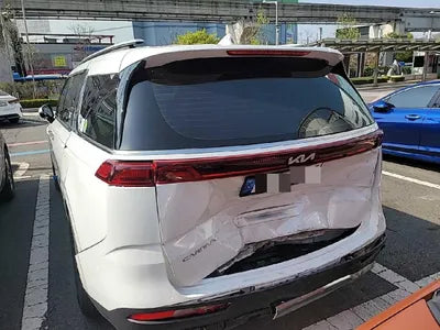 2022 Kia Carnival KNANE81BBNS166263 VIN:KNANE81BBNS166263