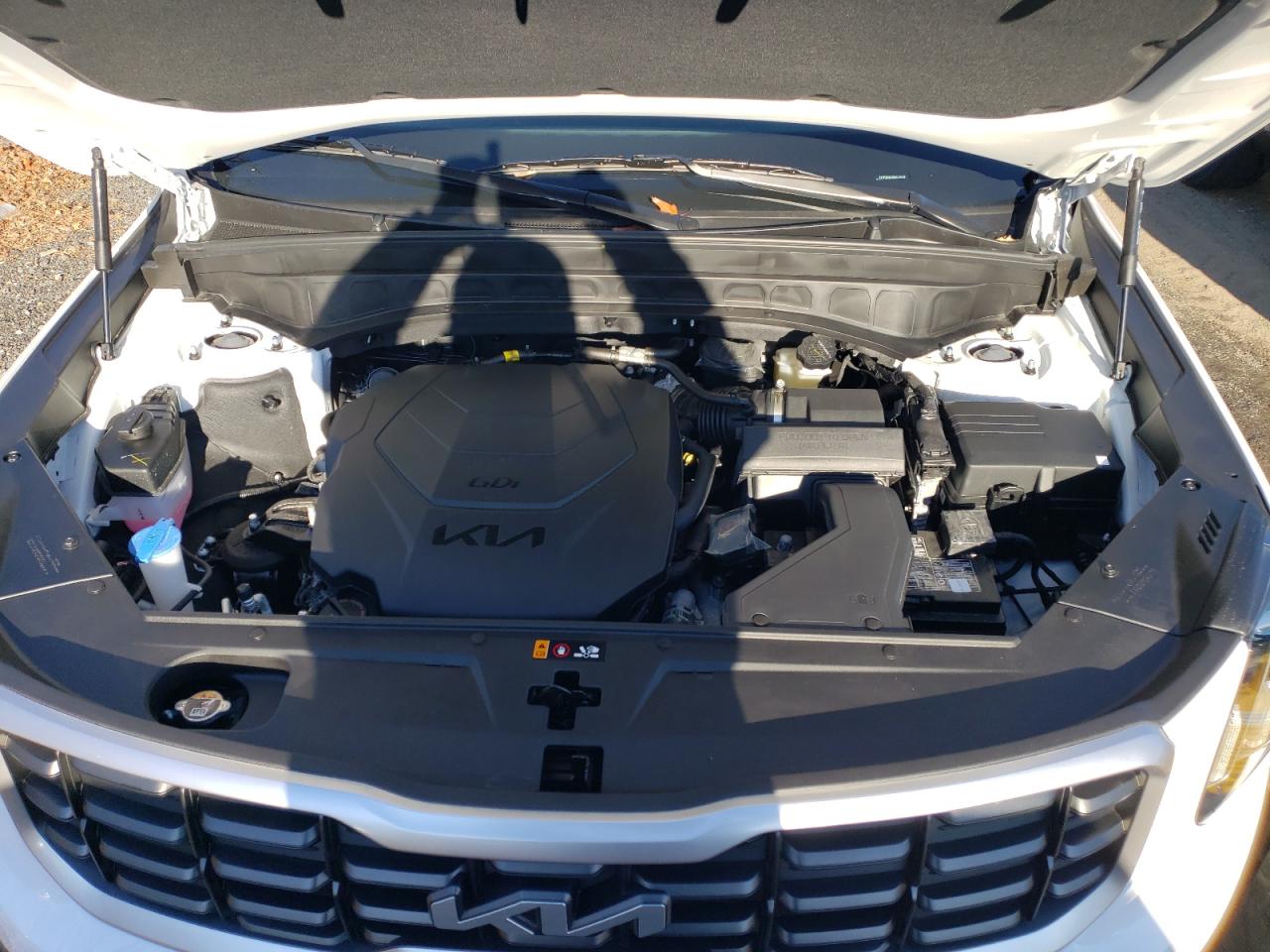 2024 KIA TELLURIDE S VIN:5XYP6DGCXRG510156