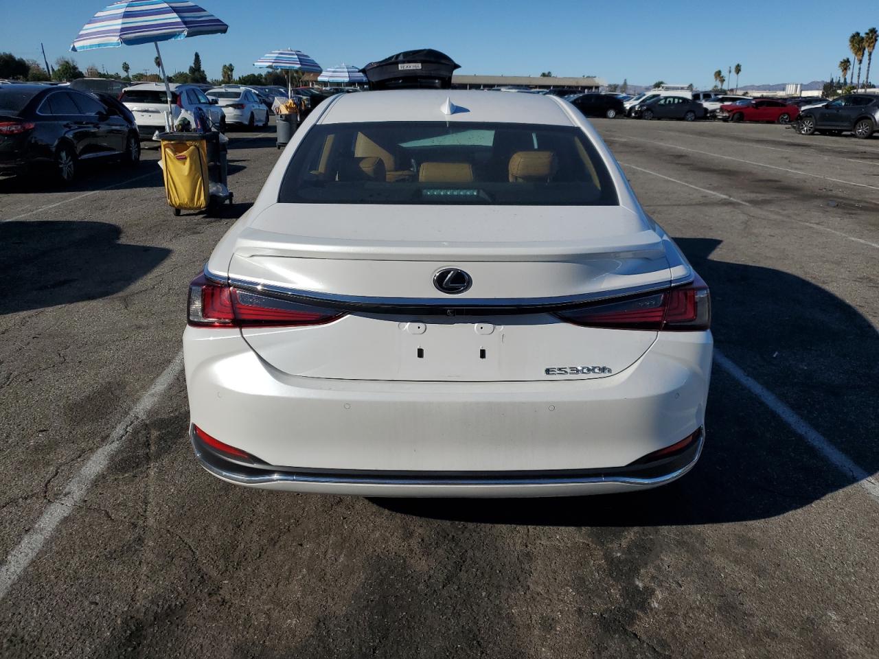 2024 LEXUS ES 300H BASE VIN:58AEA1C18RU053312