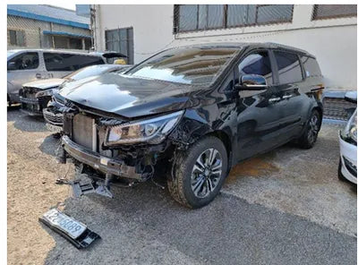 2020 Kia Carnival KNAMB81ABLS622598 VIN:KNAMB81ABLS622598