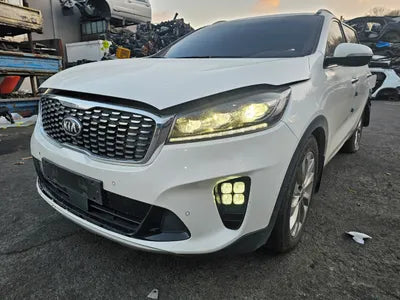 2019 Kia Sorento KNAPS81ABKA475415 VIN:KNAPS81ABKA475415
