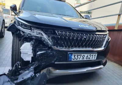2023 Kia Carnival KNANE813BPS242017 VIN:KNANE813BPS242017