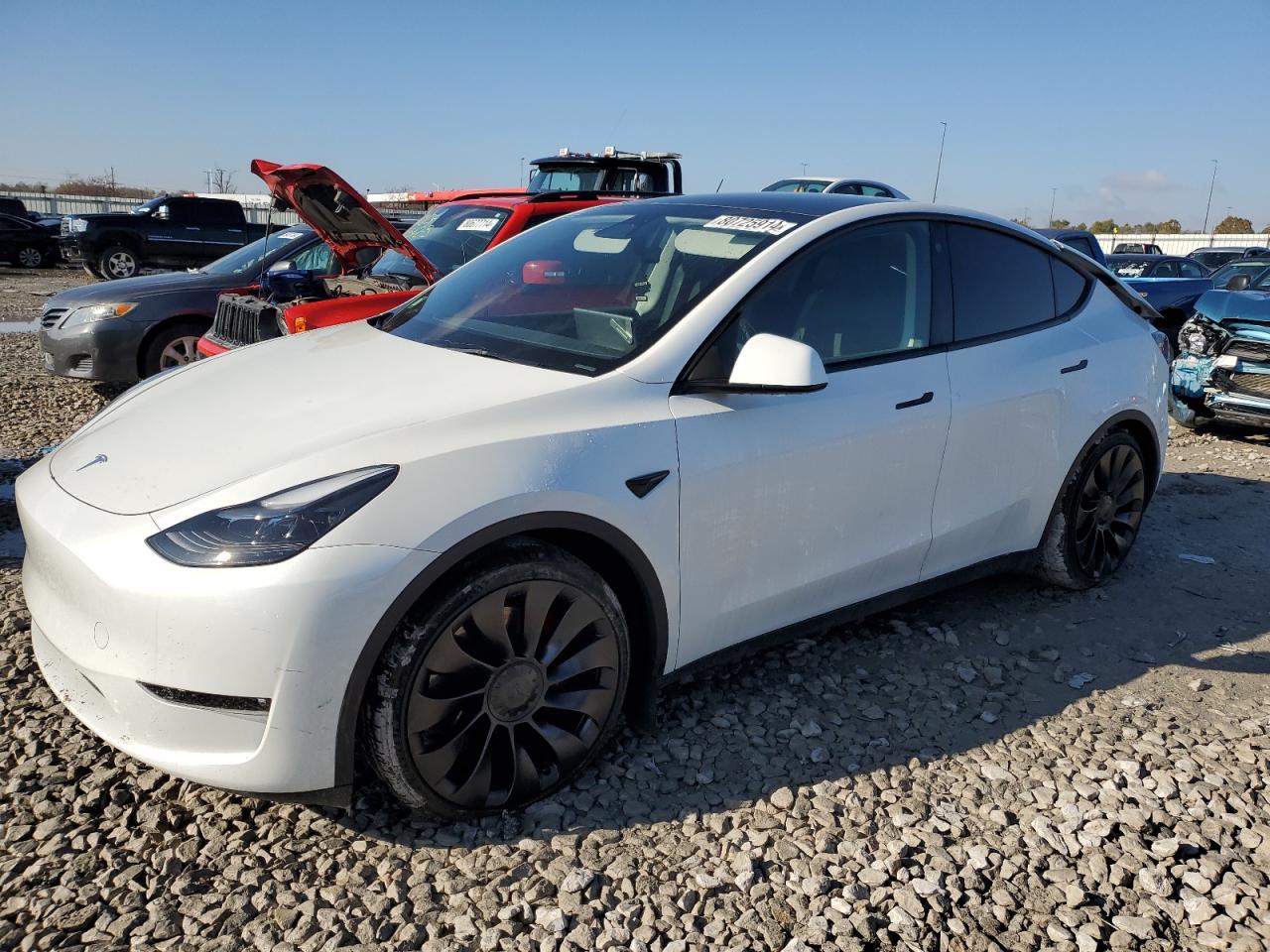 2023 TESLA MODEL Y  VIN:7SAYGDEF6PF789000