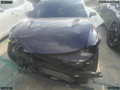 2017 Kia Stinger KNAE751CDJS006273 VIN:KNAE751CDJS006273