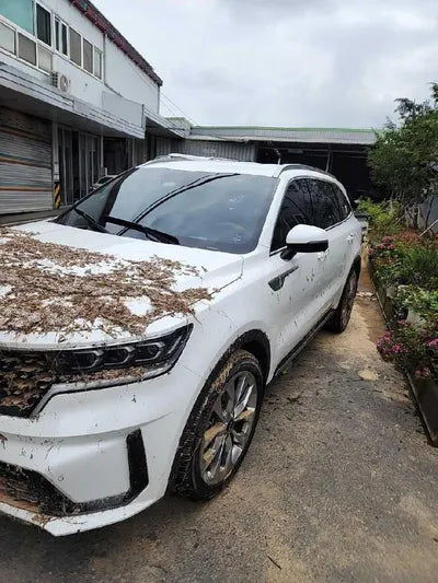 2021 Kia Sorento VIN: