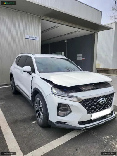 2019 Hyundai Santa FE KMHS381ABKU141821 VIN:KMHS381ABKU141821