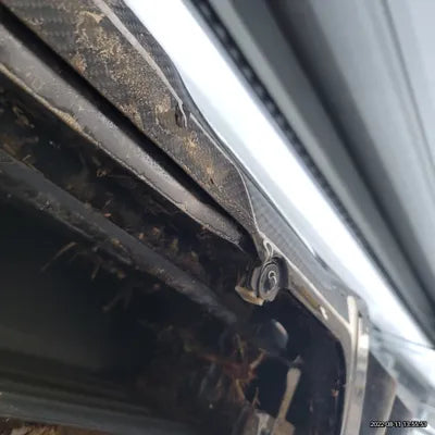 2021 BMW X4 M WBSUJ010XM9F16036 VIN:WBSUJ010XM9F16036