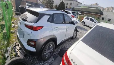 2020 Hyundai Kona KMHK381GFLU107291 VIN:KMHK381GFLU107291