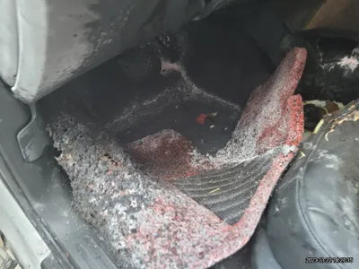 2016 Audi Q5 WAUZZZ8R0GA050175 VIN:WAUZZZ8R0GA050175