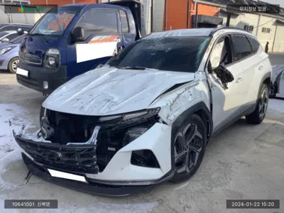 2021 Hyundai Tucson KMHJE81CBMU013982 VIN:KMHJE81CBMU013982