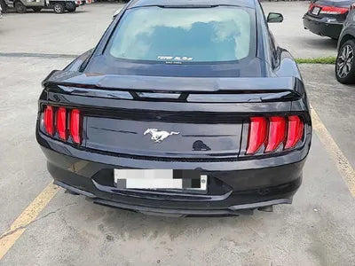 2019 Ford Mustang 571KM1FA6P8TH5K51 VIN:571KM1FA6P8TH5K51