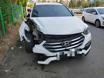 2017 Hyundai Santa FE KMHSW81UBJU841205 VIN:KMHSW81UBJU841205