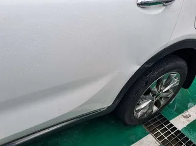 2019 Kia Sorento KNAPS81BDLA636099 VIN:KNAPS81BDLA636099