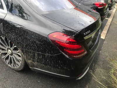 2020 Mercedes-Benz S 560 W1KUG8GB9LA528952 VIN:W1KUG8GB9LA528952