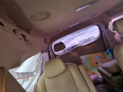 2019 Kia Carnival 115KMKNAME81ABKS5 VIN:115KMKNAME81ABKS5